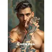 Постер книги Снежинь