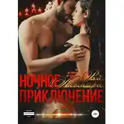 Постер книги Ночное приключение