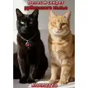 Постер книги Велес и секрет рубинового колье