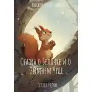 Постер книги Сказка о Зимнем чуде
