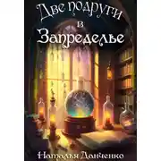 Постер книги Две подруги в Запределье