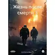 Постер книги Жизнь после смерти 3