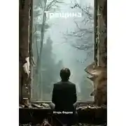 Постер книги Трещина