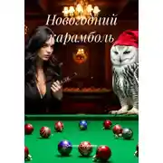 Постер книги Новогодний карамболь