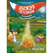 Постер книги Рыжая долина. Станция Лисавецкая