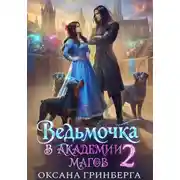 Постер книги Ведьмочка в Академии Магов – 2
