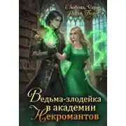 Постер книги Ведьма-злодейка в академии Некромантов