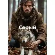 Постер книги Серый