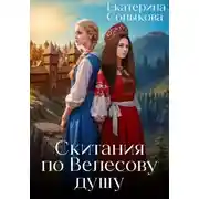 Постер книги Скитания по Велесову душу