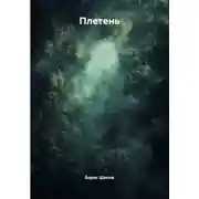 Постер книги Плетень