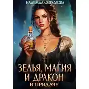 Постер книги Зелья, магия и дракон в придачу