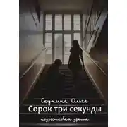 Постер книги Сорок три секунды