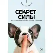 Постер книги Секрет силы. Как находить энергию для больших свершений