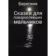 Постер книги Сказки для повзрослевших мальчиков
