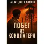 Постер книги Побег из концлагеря