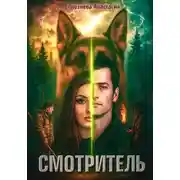 Постер книги Смотритель