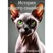 Постер книги История одного семейства