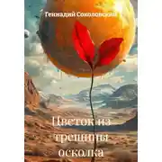 Постер книги Цветок из трещины осколка