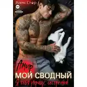 Постер книги Мой сводный Амир. Я тебя укрощу, сестрёнка!