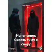 Постер книги Испытания: Сквозь тьму к свету