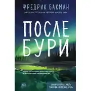 Постер книги После бури