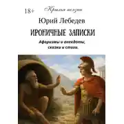 Постер книги Ироничные записки
