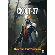 Постер книги СKOLT-37