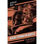 Постер книги Катастрофа на шоссе