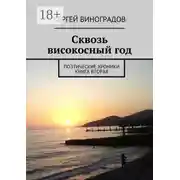 Постер книги Сквозь високосный год. Поэтические хроники. Книга вторая