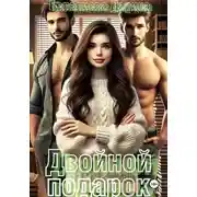 Постер книги Двойной подарок