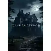 Постер книги Тень за стеной