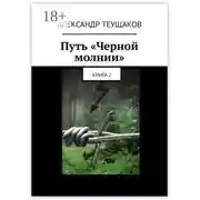 Постер книги Путь «Черной молнии». Книга 2