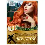 Постер книги Шестой