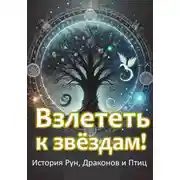 Постер книги Взлететь к звёздам. История рун, драконов и птиц.