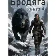 Постер книги Бродяга. Книга четвёртая