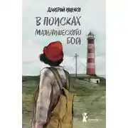 Постер книги В поисках мальчишеского бога