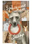 Александр Цыпкин - Удивительные истории о собаках