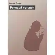 Постер книги Роковой котенок