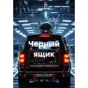 Постер книги Черный ящик