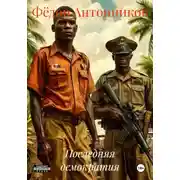 Постер книги Последняя демократия