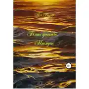 Постер книги Блики прошлого. Наследие