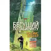 Постер книги Бегущий по Лабиринту