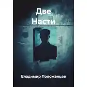 Постер книги Две Насти