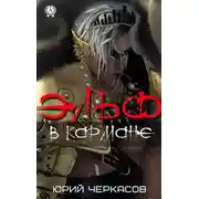 Постер книги Эльф в кармане