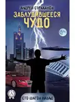Андрей Страканов - Заблудившееся чудо