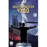 Постер книги Заблудившееся чудо