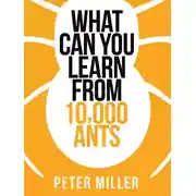 Постер книги What You Can Learn From 10,000 Ants