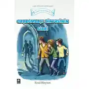 Постер книги Qaçaqmalçı zirvəsinin sirri