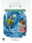 Энид Блайтон - Gizli laborotoriya