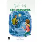 Постер книги Gizli laborotoriya